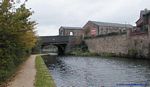 Cicely Bridge #103 