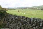 Dry Stone Wall