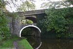 Double Arched Bridge #161