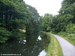 Canal in Buck Wood