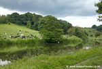 Canal near Rodley