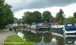 Rodley Swing Bridge #217