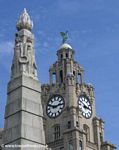 Liver Building