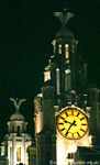 The Liver Buildings