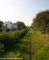 Towpath at Lydiate