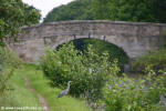 Heron at Bridge #23