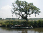 Wreck at Scarisbrick