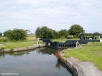 Moss Lock #4