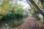 Rufford Canal