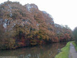 Autumn Leaves Leeds Liverpool Canal