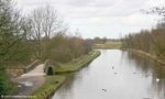 Haigh Park Bridge #60