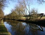 Canal Reflections