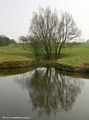 Leeds Liverpool Canal