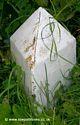 Leeds Liverpool Canal Milepost