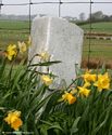 Leeds Liverpool Canal Milepost