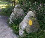 Dragons Teeth