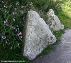 Dragons Teeth