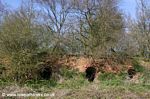 Brick Kilns on the Shropshire Union Canal 