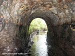 Tavistock Canal, Morwell Down Tunnel