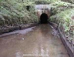 Tavistock Canal, Morwell Down Tunnel