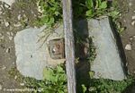 Railway Track at Morwellham Quay