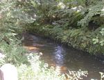 water chanel at Morwellham Quay