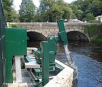 The River Tavy: Fish Screen