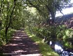 Tavistock Canal