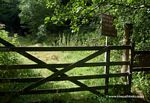 Tavistock Canal Access Denied